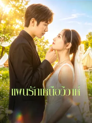 แผนรักเหนือวิวาห์