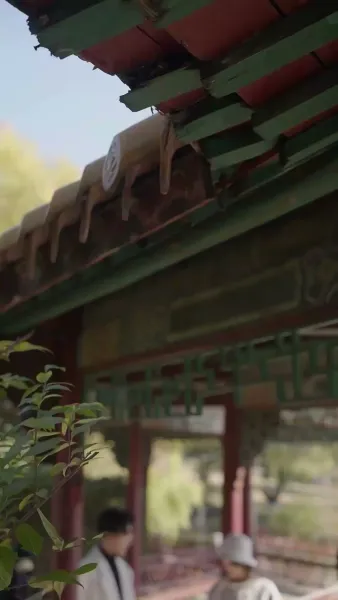 ล่ามสาวที่รัก