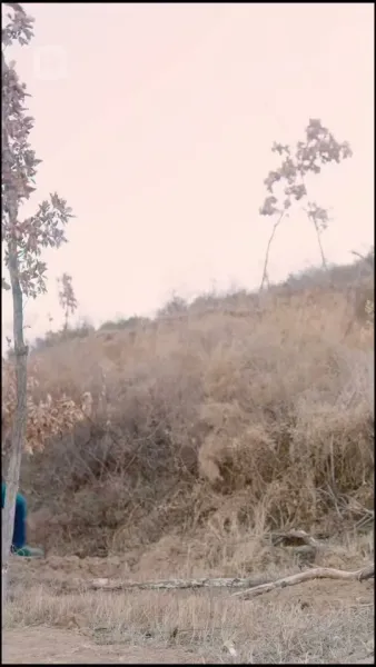 ฟื้นขึ้นมาตกหลุมรักน้องสะใภ้