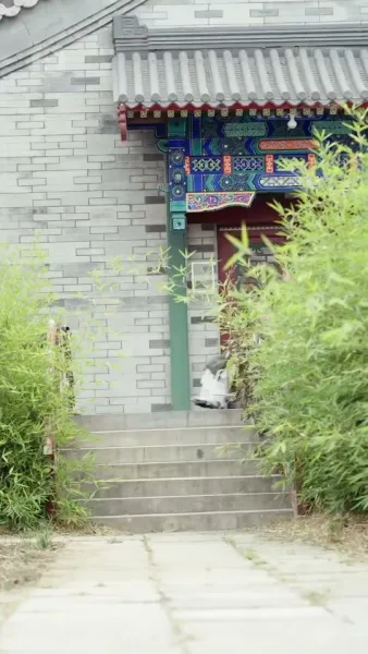 ฟื้นขึ้นมาตกหลุมรักน้องสะใภ้