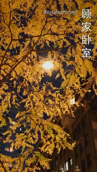 เมื่อดาวกลับสู่ฟ้า