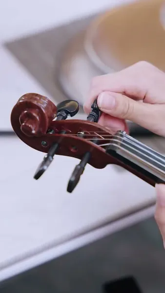 เมื่อดาวกลับสู่ฟ้า