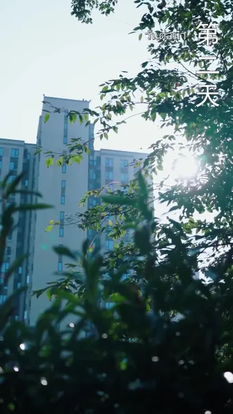 เมื่อดาวกลับสู่ฟ้า