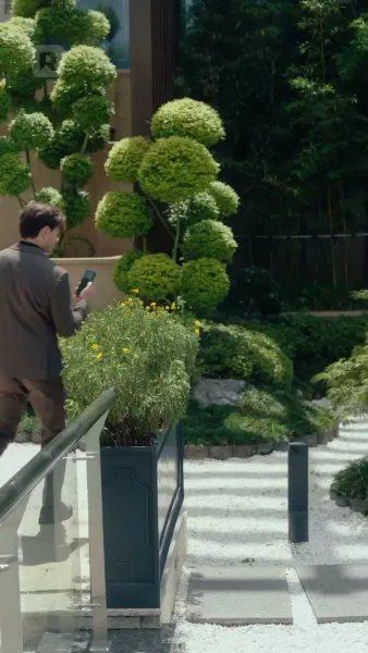 รักแตกร้าวเงาคำลวง