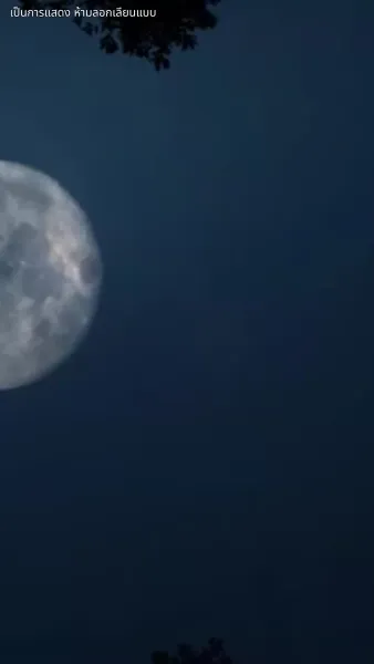 ศึกชิงบัลลังก์มายา