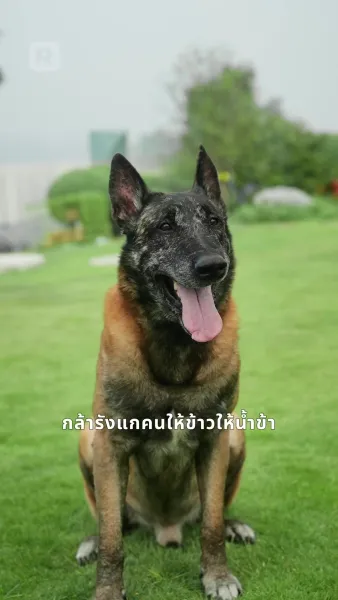 สาวพูดสัตว์ ขึ้นสวรรค์รวย!