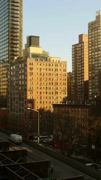 รักลวงราชาหมาป่า