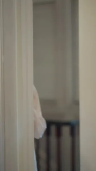 รักลวงราชาหมาป่า