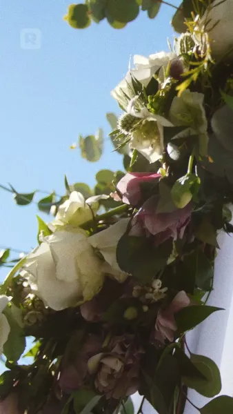 แม่จ๋า อย่าร้องไห้ พ่อขอโทษ