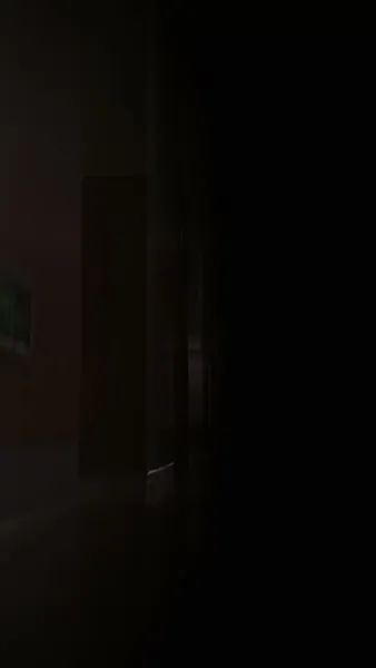 ภารกิจพิชิตจูบท่านประธาน