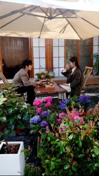 รักครั้งนี้ไม่แพ้ใคร