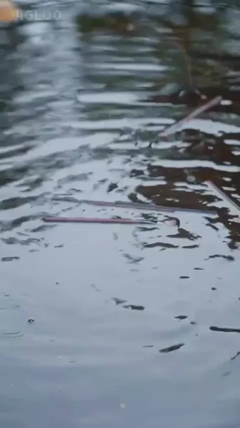 คมเฉือนคม