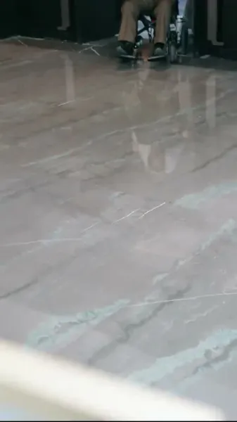  มังกรที่ถูกจองจำโบยบิน