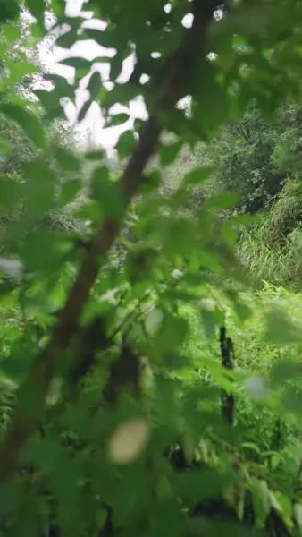 ชีวิตเช็ตโกง เริ่มที่การมีคู่ชีวิต