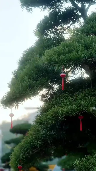 ผู้มาเยือนจากอดีต