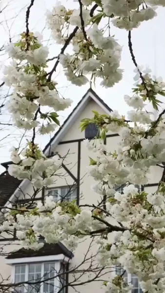 อุ่นนั้นที่หายไป