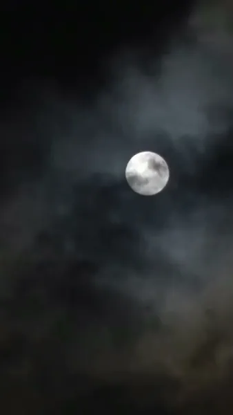 เทวทูตบันดาลรัก