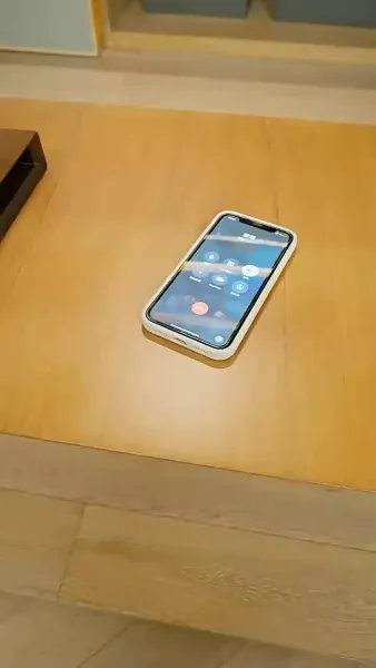 หลังหย่า ฉันพาลูกแฝดตัวร้าย มากำราบประธานตัวดี