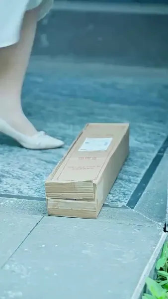 หลังหย่า ฉันพาลูกแฝดตัวร้าย มากำราบประธานตัวดี