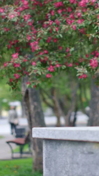 รักที่ต้องจากลา