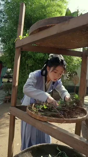 ตำรับรัก สาวแพทย์ข้ามมิติ