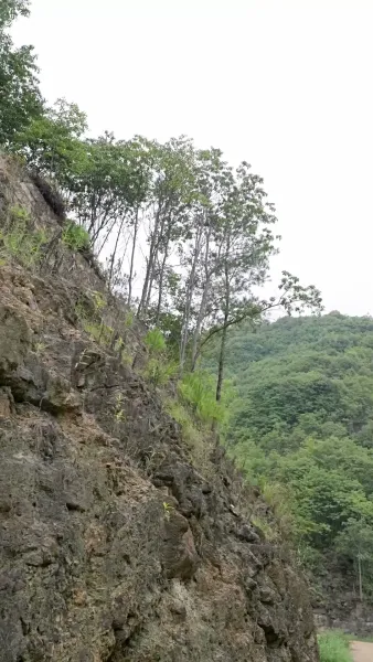 ตำรับรัก สาวแพทย์ข้ามมิติ