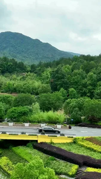 ตราบาปในเงารัก