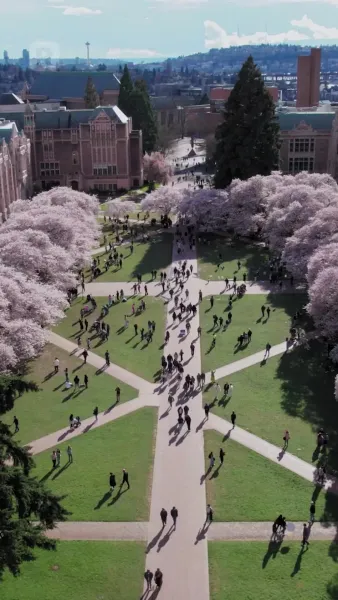 รักว้าวุ่นของนักเต้นและดาวฮอกกี้