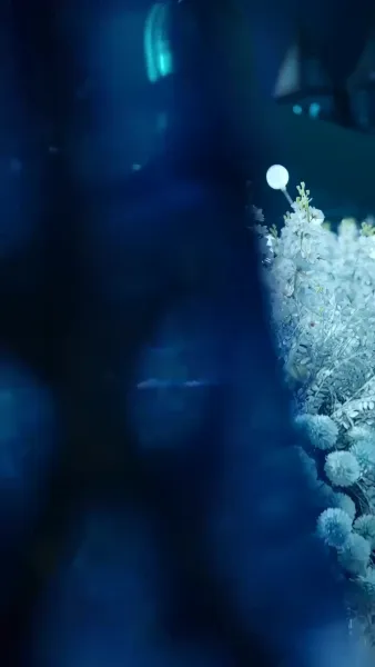 วิวาห์ฟ้าแลบของสองพี่น้อง