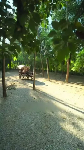 หญิงใบ้ซ่อนรัก