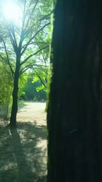 หญิงใบ้ซ่อนรัก