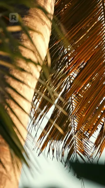 ให้ฉันหายไปพร้อมกับรักของเรา