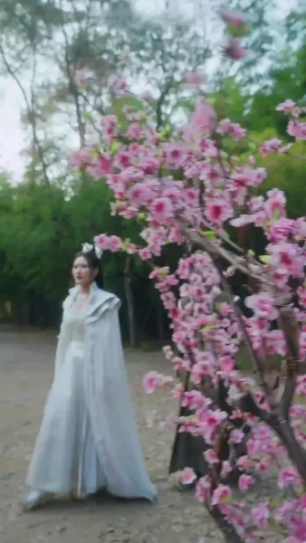 จางรั่วเฉินเทพจักรพรรดิบรรพกาล