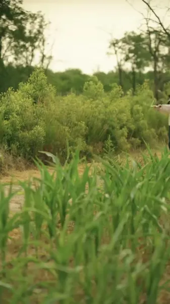 ถาม–ตอบเพื่อเอาชีวิตรอดของแม่