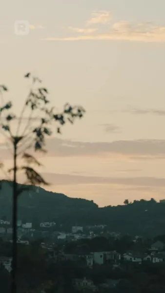 (พากย์) บอสมาเฟียเคลือบน้ำตาลของฉัน