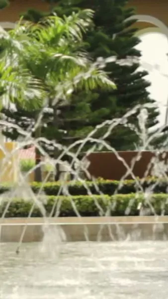 (พากย์) บอสมาเฟียเคลือบน้ำตาลของฉัน