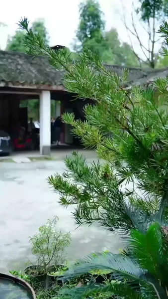 วาสนาหนูน้อยนำโชค