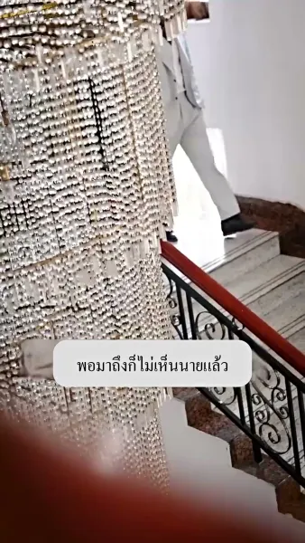 คู่รักสายฟ้าแลบ