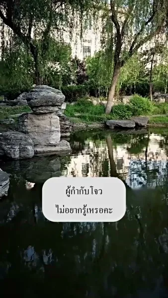 คู่รักสายฟ้าแลบ