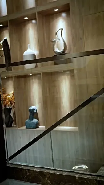 คู่รักสายฟ้าแลบ