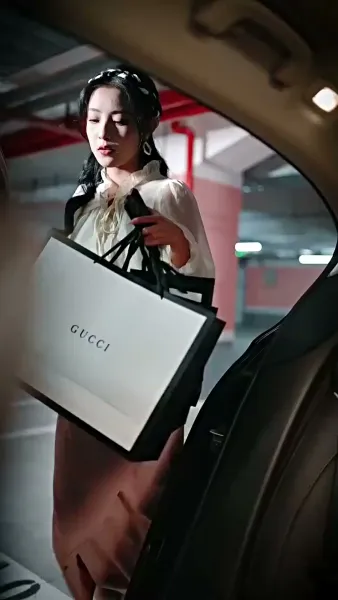 คู่รักสายฟ้าแลบ