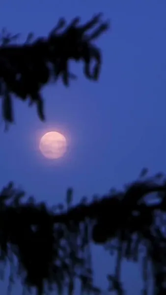 รักฉันล้อมใจเธอ