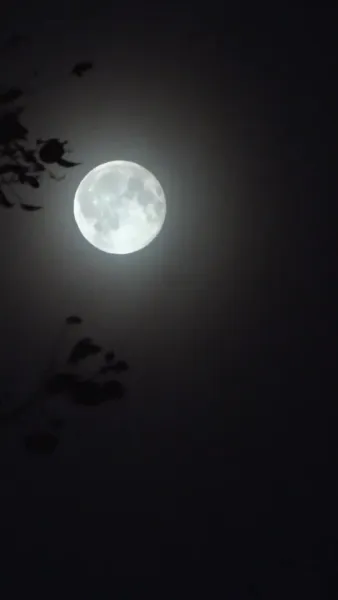 พันธนากรแห่งรัก