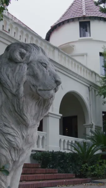 แก้วตาดวงใจในรอยลวง