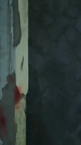 สัญญารักสายฟ้าแลบ