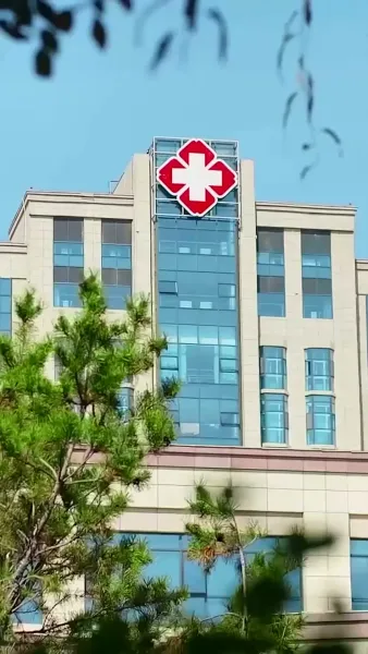 สัญญารักสายฟ้าแลบ