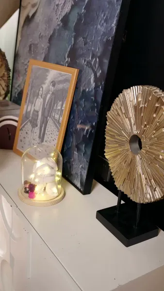 สัญญารักสายฟ้าแลบ