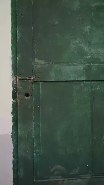 ก้าวไปด้วยรัก(พากย์เสียง)