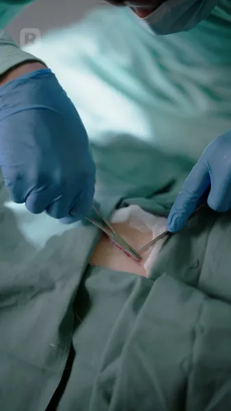 คุณไล่ศัลยแพทย์อัจฉริยะออก!