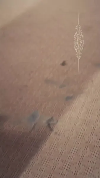 ลิขิตรักสะบั้นใจ